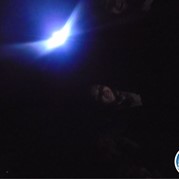 54) Dropping *  (Eigen locatie)