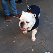 32) City game The Target (zonder horeca)  (Eigen locatie)