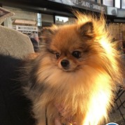 46) City game The Target (zonder horeca)  (Eigen locatie)