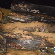 38) Dropping *  (Eigen locatie)