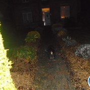 39) Dropping *  (Eigen locatie)