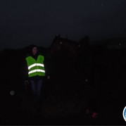 43) Dropping *  (Eigen locatie)