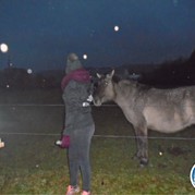 44) Dropping *  (Eigen locatie)