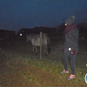 45) Dropping *  (Eigen locatie)