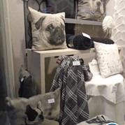 36) 60 seconden! Mechelen 