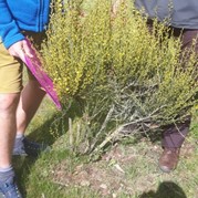 42) City game The Target  (Eigen locatie)