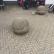 41) Pak 'm en Go! Weert