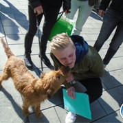 32) Crazy 88 Stadspel   (Eigen locatie)