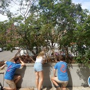 36) City game The Target 