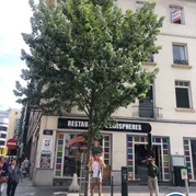 63) City game The Target 