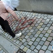 55) 50 Tinten Grijs Mechelen 