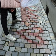 56) 50 Tinten Grijs Mechelen 