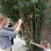 54) City game The Target Utrecht