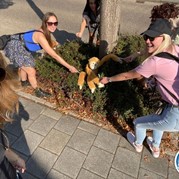 54) The Hangover vrouwen party (zonder horeca) *  (Eigen locatie)