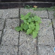 66) MVO Uitje Enschede