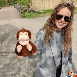 The Hangover (zonder horeca)  (Eigen locatie)