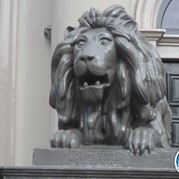 127) Get the Picture Dordrecht