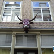 59) Get the Picture Dordrecht