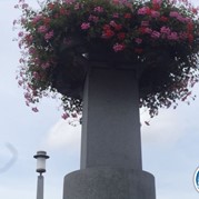 87) Get the Picture Dordrecht