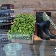 52) MVO Uitje Köln / Keulen