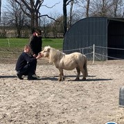 32) Help, de Directeur is ontvoerd! *  (Eigen locatie)