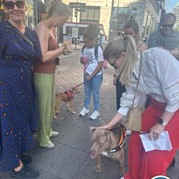 32) Wie ontdekt de Verrader? Den Haag