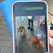 44) Wie ontdekt de Verrader? Den Haag