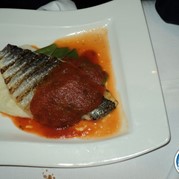 171) Ik Hou Van Nederland Quiz Den Haag