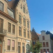 45) Citygame Levend Ganzenbord met begeleiding op afstand  (Eigen locatie)