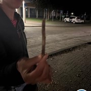 38) Citygame Levend Ganzenbord met begeleiding op afstand  (Eigen locatie)