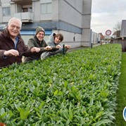 44) Citygame Levend Ganzenbord met begeleiding op afstand  (Eigen locatie)