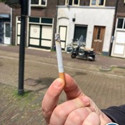 44) Citygame Levend Ganzenbord met begeleiding op afstand  (Eigen locatie)