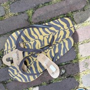 49) Citygame Levend Ganzenbord met begeleiding op afstand  (Eigen locatie)