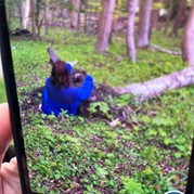 52) Jachtseizoen eigen locatie  (Eigen locatie)