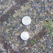 135) Jachtseizoen / begeleiding op afstand  (Eigen locatie)