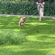 18) Jachtseizoen / begeleiding op afstand  (Eigen locatie)