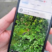 84) Jachtseizoen / begeleiding op afstand  (Eigen locatie)