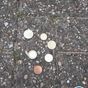 55) Jachtseizoen  (Eigen locatie)