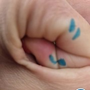 160) Crazy Carnaval 88 (zonder horeca)*  (Eigen locatie)