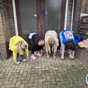 51) Crazy Carnaval 88 (zonder horeca)*  (Eigen locatie)