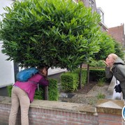 66) Crazy Carnaval 88 (zonder horeca)*  (Eigen locatie)