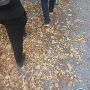 116) Wie ontdekt de Verrader? (zonder horeca) *  (Eigen locatie)