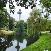 34) City Game ontstress de kip! met begeleiding op afstand  (Eigen locatie)