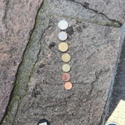 36) Jachtseizoen eigen locatie  (Eigen locatie)