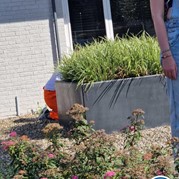 46) Jachtseizoen eigen locatie  (Eigen locatie)