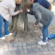 100) Crazy 88 Stadspel  Almelo