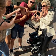 37) Citygame Levend Ganzenbord met begeleiding op afstand  (Eigen locatie)