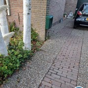 17) Hunted Eigen Locatie   (Eigen locatie)