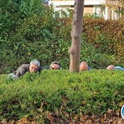 33) Hunted Eigen Locatie   (Eigen locatie)