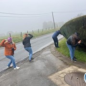 15) Cluedo met begeleiding op afstand  (Eigen locatie)